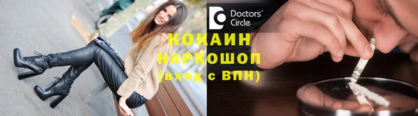 индика Бронницы