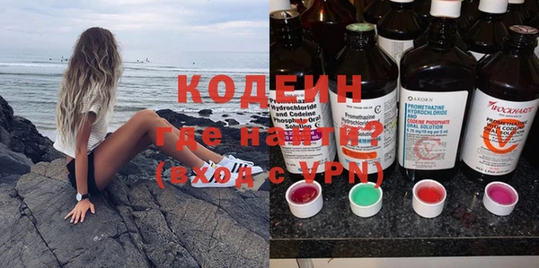 индика Бронницы