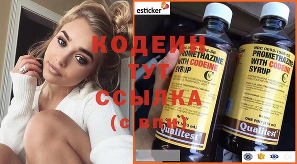 индика Бронницы