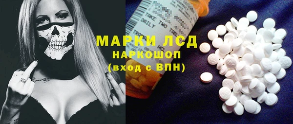 индика Бронницы