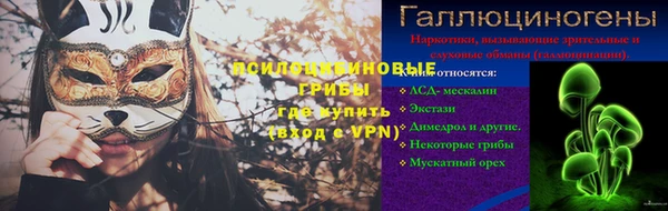 ешки Михайловск