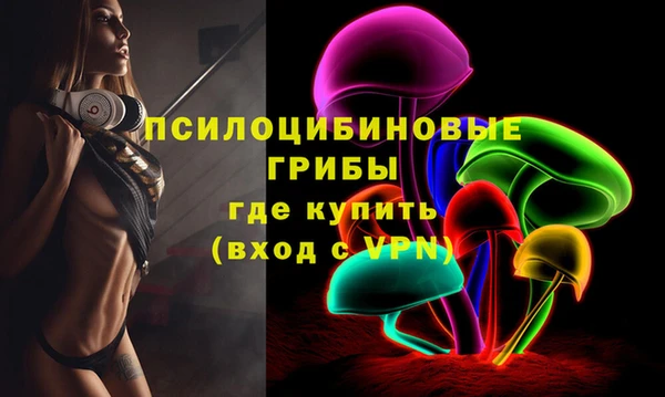 индика Бронницы