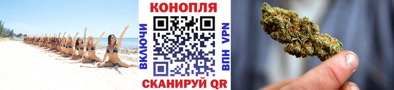 Канабис семена  наркота  Вихоревка 